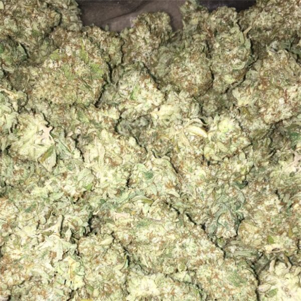 Khalifa Kush – Bild 3